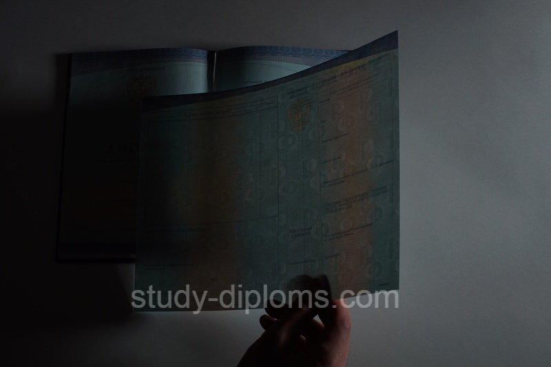 Диплом колледжа с 2014 год по настоящее время - Фото #9 Диплом колледжа с 2014 год по настоящее время - Фото #9